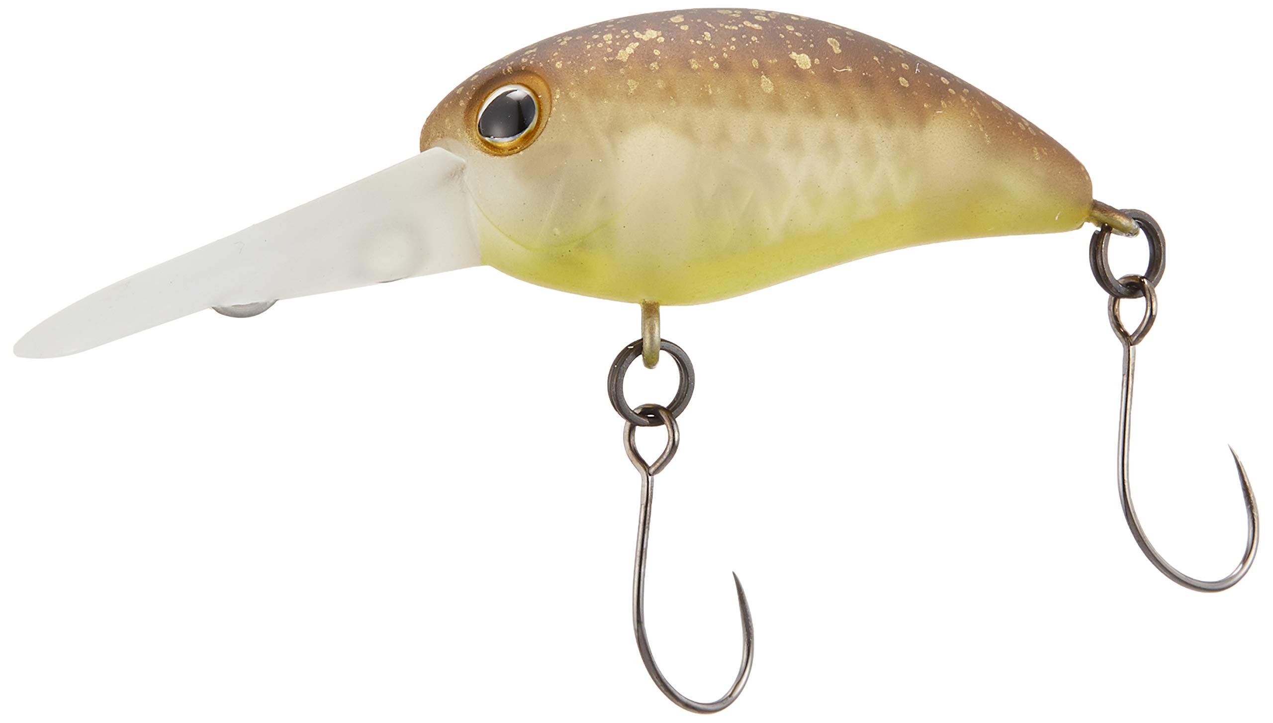 Amazon.co.jp: JACKALL(ジャッカル) ルアー TIMON パニクラDR ゴン